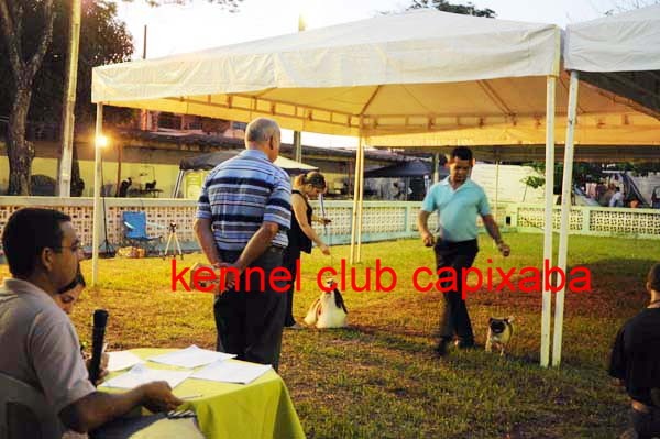 Clique sobre a foto para fechar